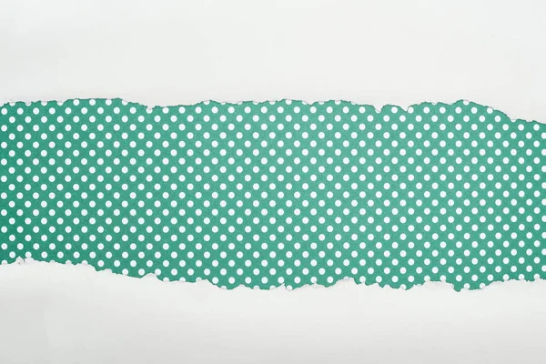 Ripped white textured paper with copy space on green polka dot background — Stock Photo