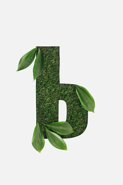 Letter from cyrillic alphabet of green grass with leaves isolated on white — Stock Photo