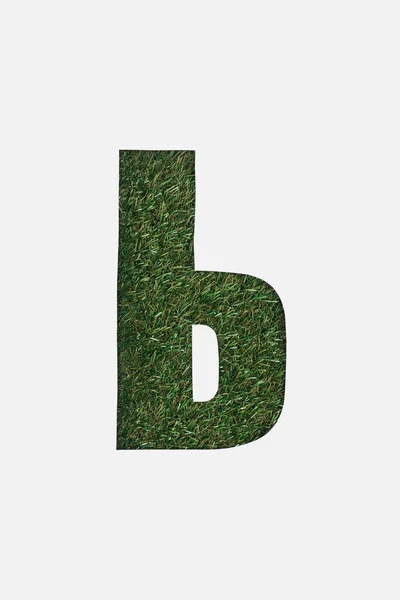 Lettera dall'alfabeto cirillico di erba verde isolata su bianco — Foto stock