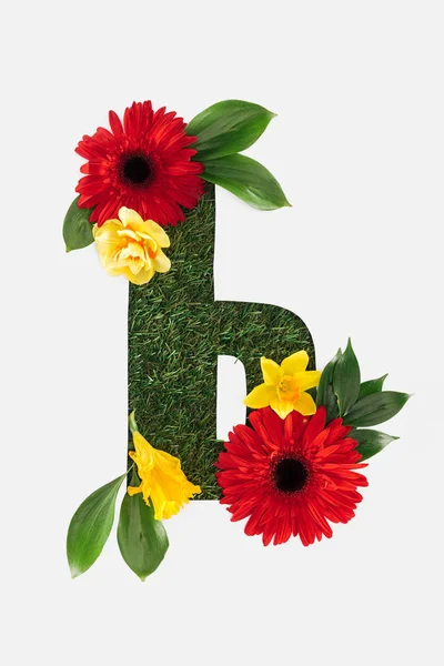 Buchstabe aus kyrillischer Schrift aus grünem Gras mit leuchtend roten Gerberas, gelben Narzissen und Blättern isoliert auf weißem Grund — Stockfoto