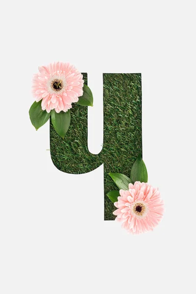 Вирізана кирилична літера зеленої трави з рожевими герберами ізольована на білому — стокове фото