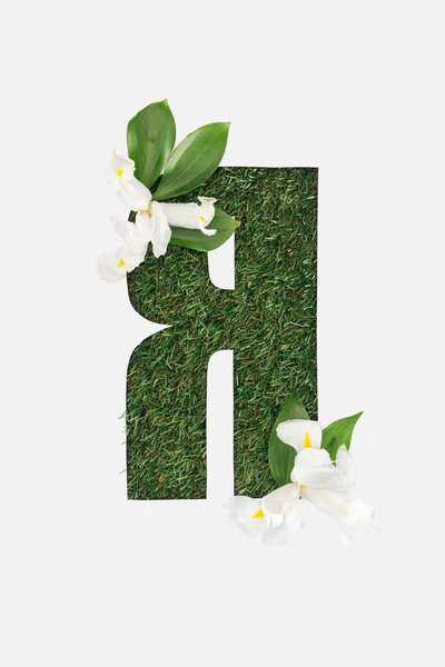 Recorte carta cirílica com grama verde no fundo, folhas e flores brancas isoladas no branco — Fotografia de Stock