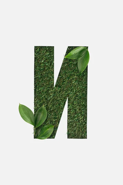 Вырезать кириллическую букву со свежей зеленой травой на заднем плане и листья изолированы на белом — стоковое фото