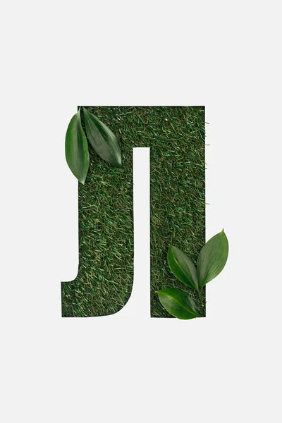 Ausgeschnittene kyrillische Buchstaben aus Gras mit grünen Blättern in Ecken isoliert auf weiß — Stockfoto
