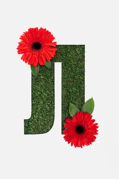 Cut out letter from cyrillic alphabet made of natural grass and with red bright gerberas isolated on white — Stock Photo