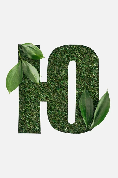 Cut out letter from cyrillic alphabet made of natural green grass with leaves isolated on white — Stock Photo