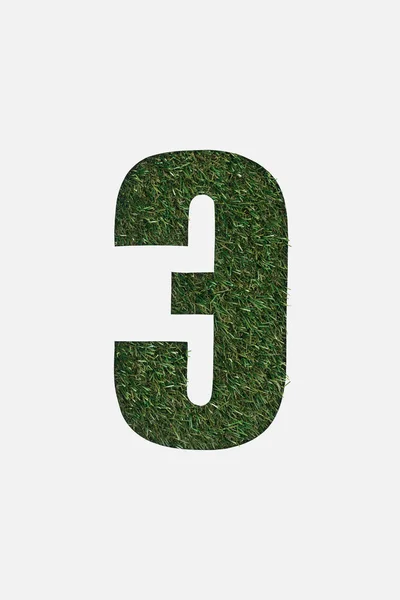 Top view of cut out letter from cyrillic alphabet made of natural green grass isolated on white — Stock Photo