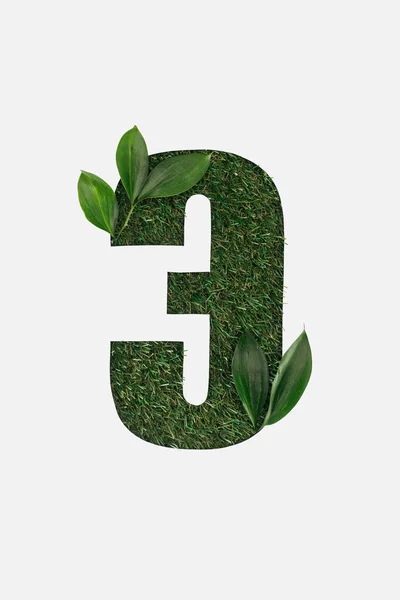 Vista dall'alto della lettera ritagliata dall'alfabeto cirillico fatto di erba verde naturale con foglie isolate sul bianco — Foto stock