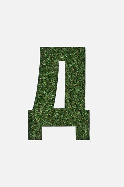 Vista dall'alto di lettera cirillica con erba verde su sfondo isolato su bianco — Foto stock