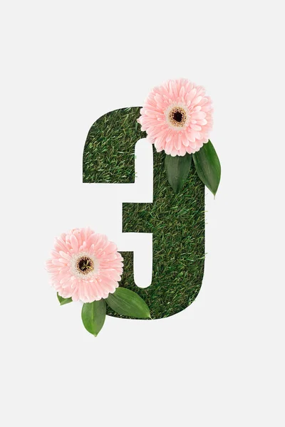 Vista superior da letra recortada do alfabeto cirílico feito de grama verde natural com folhas e gerberas rosa isolado no branco — Fotografia de Stock