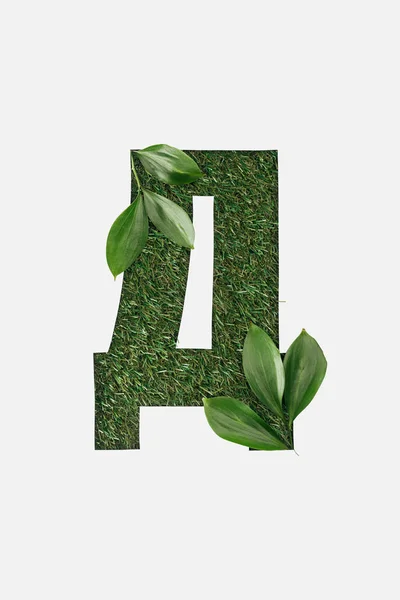 Ansicht des Buchstabens aus kyrillischem Alphabet aus naturgrünem Gras mit isolierten Blättern auf weißem Grund — Stockfoto