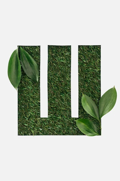 Top view of letter from cyrillic alphabet made of green grass with leaves isolated on white — Stock Photo