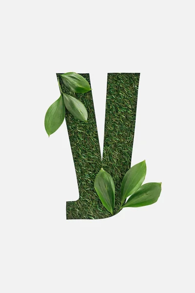 Top view of cyrillic letter made of green grass with fresh leaves isolated on white — Stock Photo