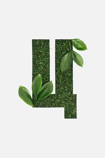 Top view of cyrillic letter made of grass with fresh green leaves isolated on white — Stock Photo