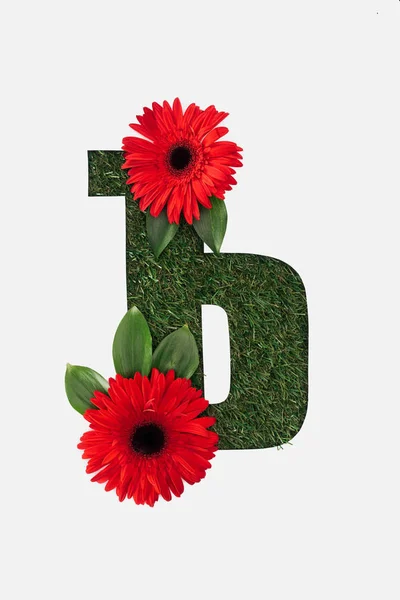 Top view of cyrillic letter with natural grass on background and red gerberas with green leaves isolated on white — Stock Photo