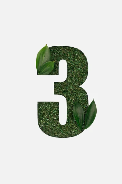 Draufsicht auf kyrillischen Buchstaben mit grünem Gras auf Hintergrund und natürlichen Blättern isoliert auf weißem Hintergrund — Stockfoto