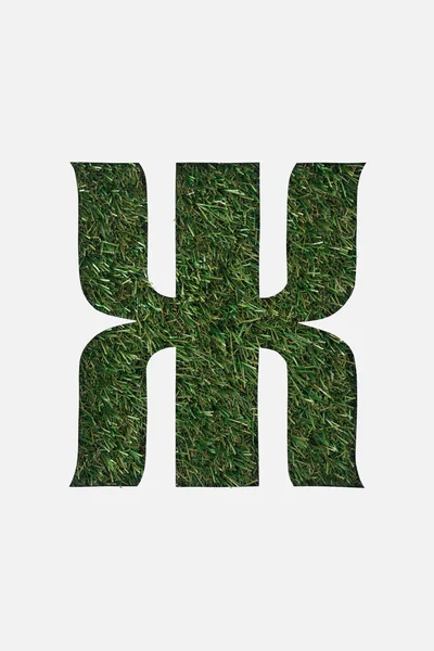 Top view of cut out cyrillic letter with green grass on background isolated on white — Stock Photo