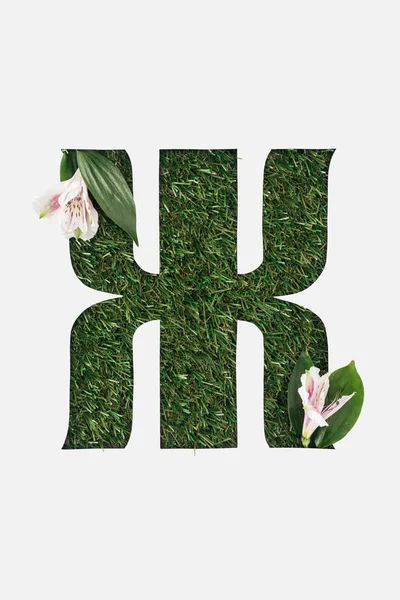 Vista dall'alto di lettera cirillica con erba naturale su sfondo e fiori di Alstroemeria isolati su bianco — Foto stock