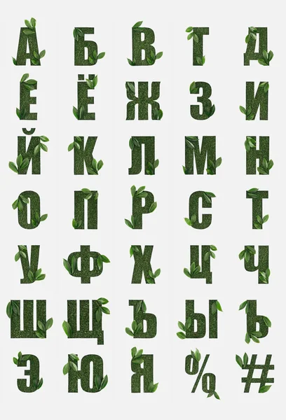 Lettres cyrilliques de l'alphabet russe en herbe verte avec des feuilles fraîches isolées sur blanc — Photo de stock