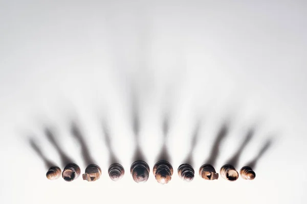 Top view of chess figures with shadows on white background — Stock Photo