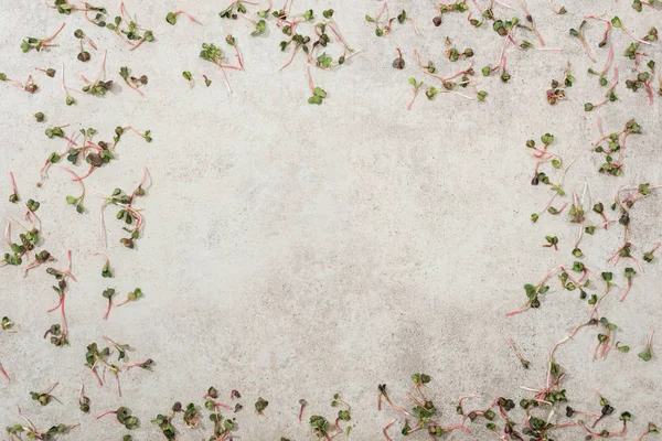 Vista dall'alto del verde crescione del giardino sulla superficie strutturata — Foto stock