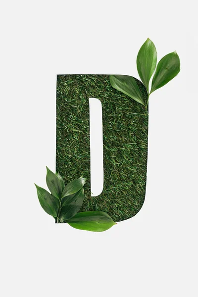 Верхний вид вырезанной буквы D на зеленом фоне травы с зелеными листьями, изолированными на белом — стоковое фото
