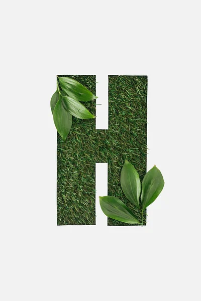 Vista dall'alto di ritagliato lettera H su sfondo erba verde con foglie verdi isolate su bianco — Foto stock