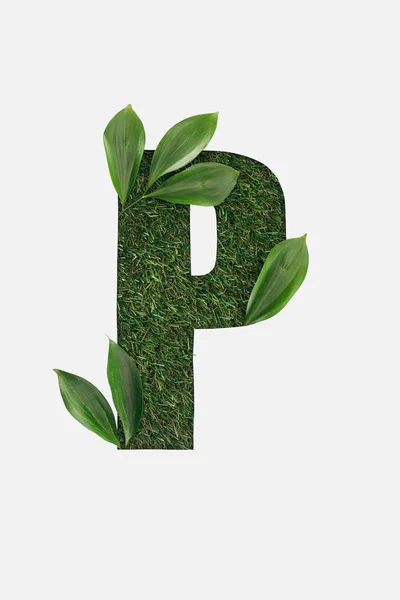 Top view of cut out P letter on green grass background with green leaves isolated on white — Stock Photo