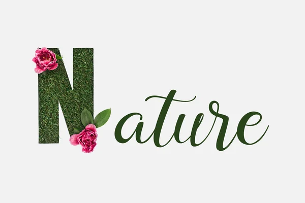 Vue de dessus du lettrage vert nature avec des feuilles et des pivoines roses isolées sur blanc — Photo de stock