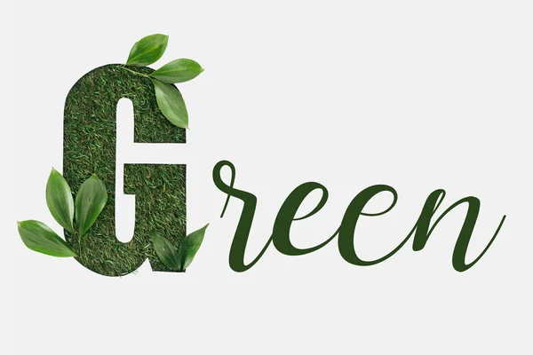 Top view of green lettering with leaves isolated on white — Stock Photo