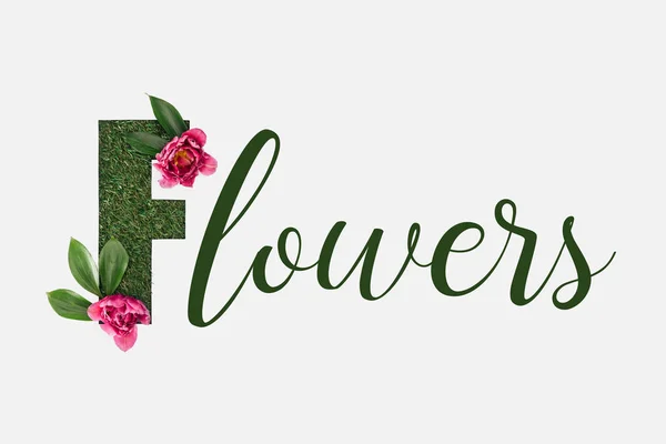 Vista dall'alto di fiori verdi lettering con foglie e peonie rosa isolate su bianco — Foto stock