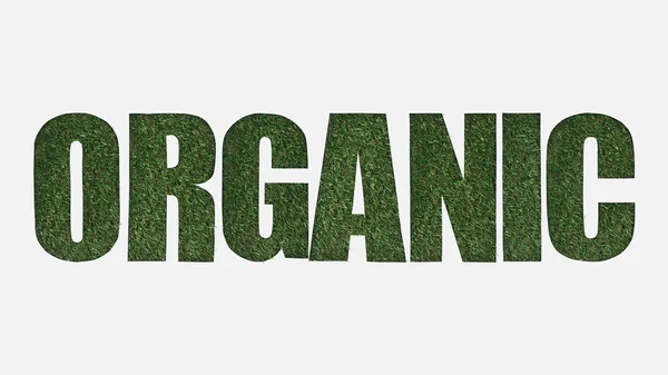 Vista superior de cortar letras orgánicas en hierba verde aislado en blanco - foto de stock