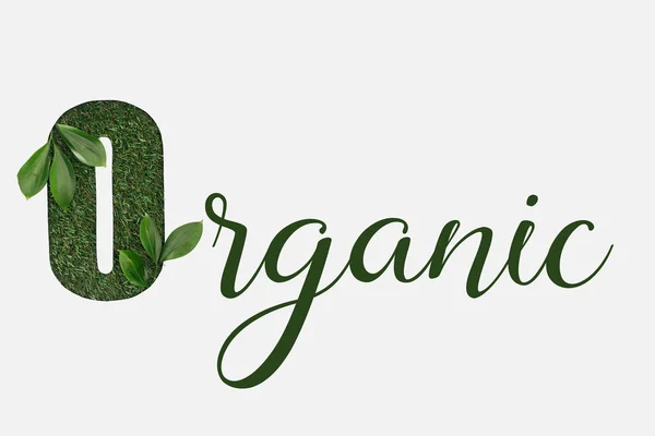 Top view of green organic lettering with leaves isolated on white — Stock Photo