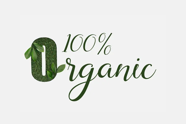 Vista superior de letras verdes 100% orgánicas con hojas aisladas en blanco - foto de stock