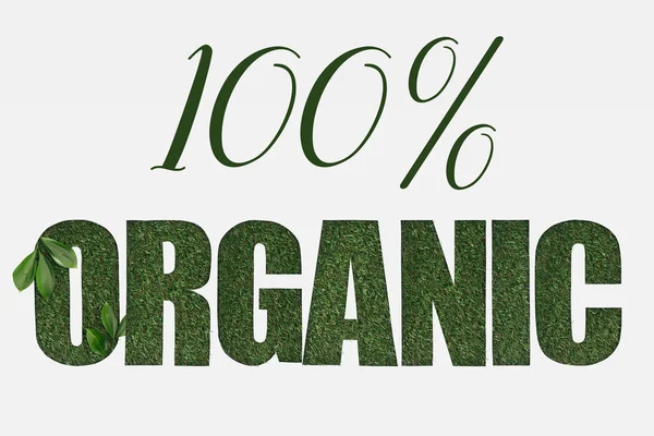 Vue de dessus de lettrage 100 % bio avec feuilles vertes isolées sur blanc — Photo de stock