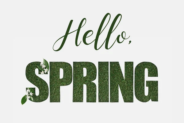 Top view of hello spring lettering with green leaves and flowers isolated on white — Stock Photo