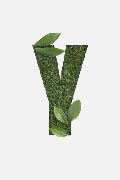 Top view of cut out Y letter on green grass background with leaves isolated on white — Stock Photo