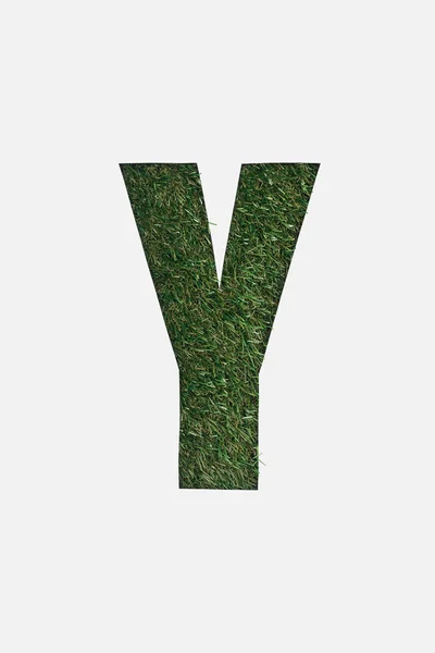 Top view of cut out Y letter on green grass background isolated on white — Stock Photo