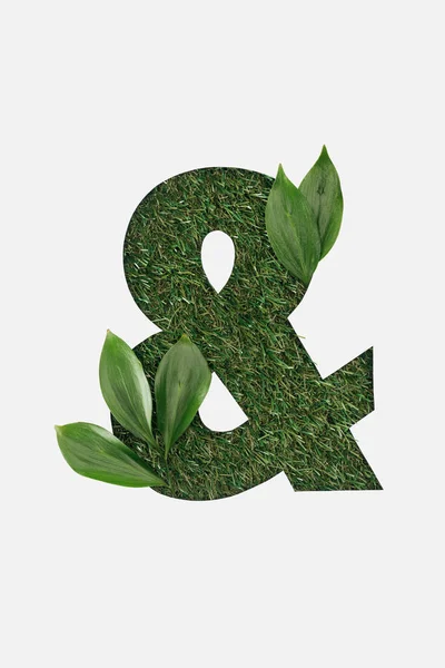 Draufsicht auf ausgeschnittenen Ampersand Zeichen auf grünem Gras Hintergrund mit Blättern isoliert auf weiß — Stockfoto