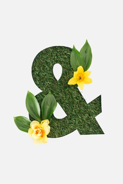 Draufsicht des ausgeschnittenen Ampersand Zeichen auf grünem Gras Hintergrund mit Blättern und gelben Narzissen isoliert auf weiß — Stockfoto