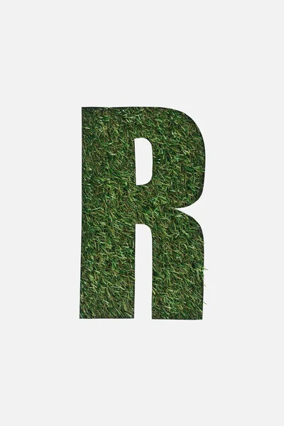 Vista superior de cortar a letra R no fundo de grama verde isolado no branco — Fotografia de Stock
