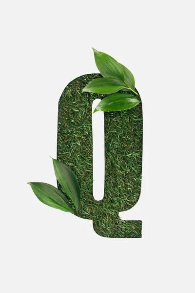 Draufsicht des ausgeschnittenen q Buchstaben auf grünem Gras Hintergrund mit Blättern isoliert auf weiß — Stockfoto