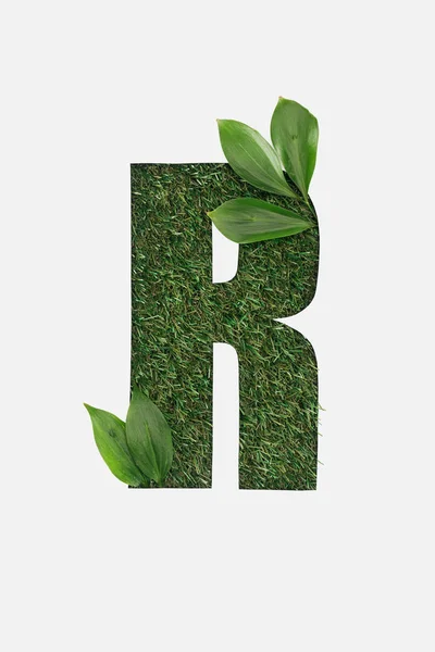Верхний вид вырезанной буквы R на зеленом фоне травы с изолированными листьями на белом — стоковое фото