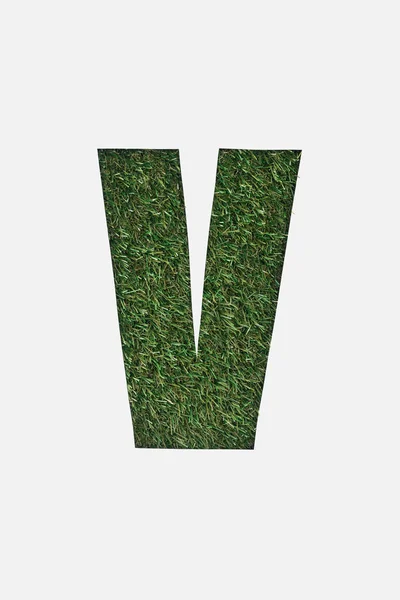 Вид сверху вырезанный V буква на зеленом фоне травы изолированы на белом — стоковое фото