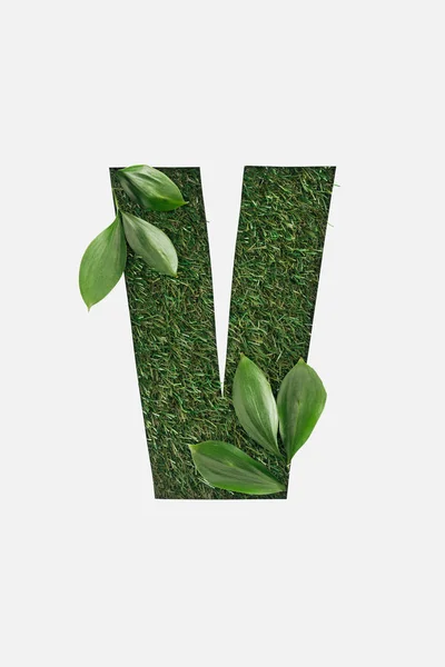Top view of cut out V letter on green grass background with leaves isolated on white — Stock Photo