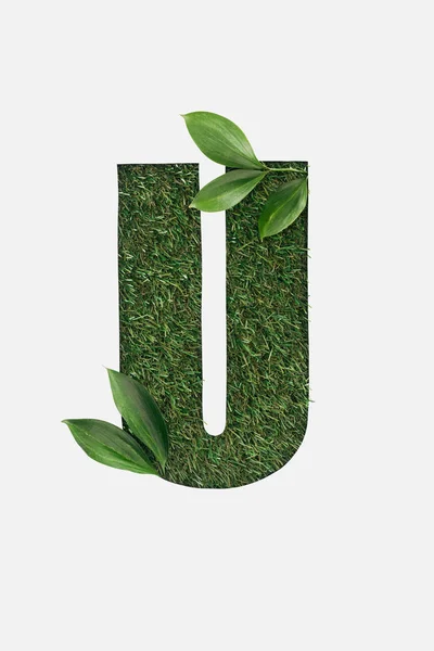 Top view of cut out U letter on green grass background with leaves isolated on white — Stock Photo