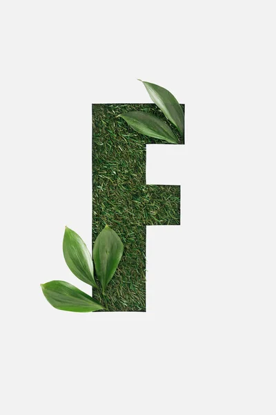 Top view of cut out F letter on green grass background with leaves isolated on white — Stock Photo