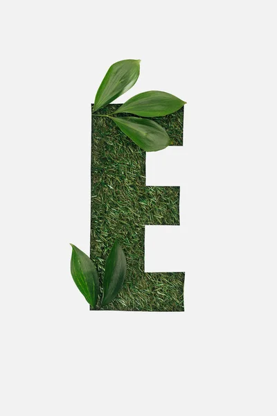 Vista superior de la letra E recortada sobre fondo de hierba verde con hojas aisladas sobre blanco - foto de stock