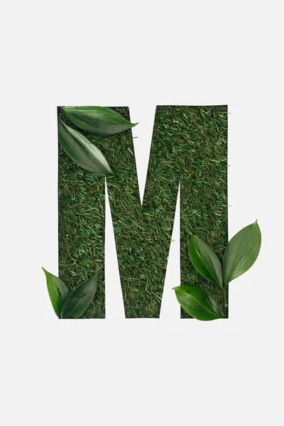 Vista dall'alto del taglio M lettera su sfondo verde erba con foglie isolate su bianco — Foto stock