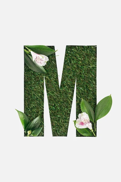 Верхний вид вырезанной буквы М на зеленом фоне травы с листьями и цветами альстромерии изолированы на белом — стоковое фото